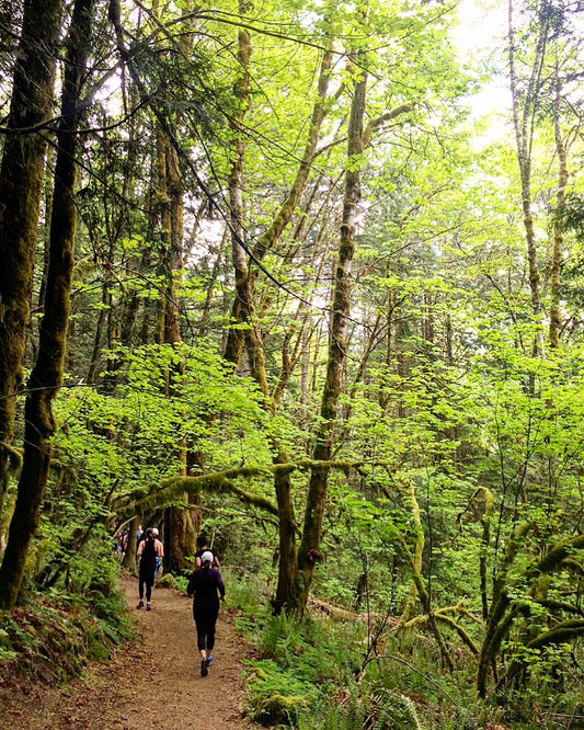 Introduction To Trail Running - Fall Edition