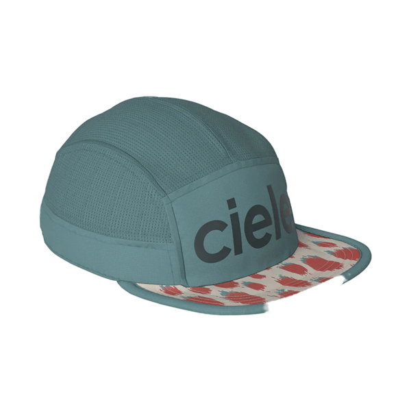 ciele
