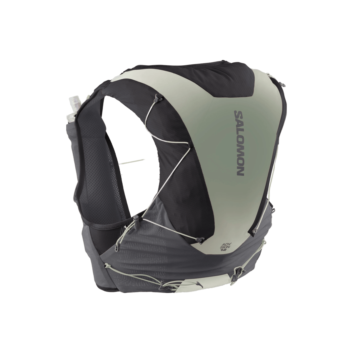 Salomon ADV Skin 12 Running Vest (with Flasks) - Unisex, Phantom/Castlerock/Icicle, vest view