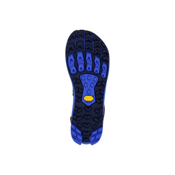 Altra Lone Peak 9+ Trail Running Shoes - Men's, overhead view