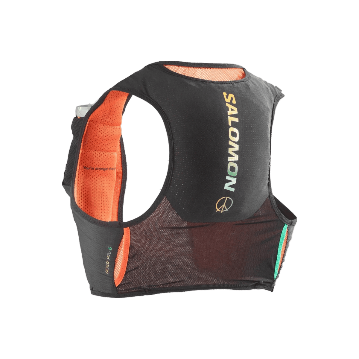 Salomon Sense Pro 6 Running Vest (with Flasks) - Unisex, Courtney Edition - Black/Nasturtium/Dynasty Green, vest view