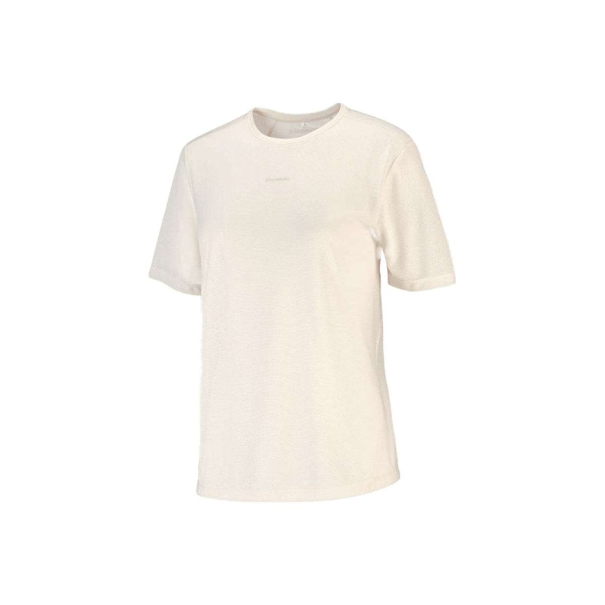 Salomon Shakeout Core Short Sleeve GFX Tee - Women's, product view