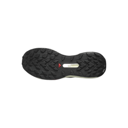 Salomon Genesis Trail Running Shoes - Men's, overhead view