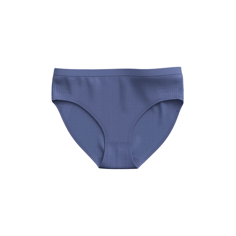 Smartwool Women's Intraknit Bikini Underwear