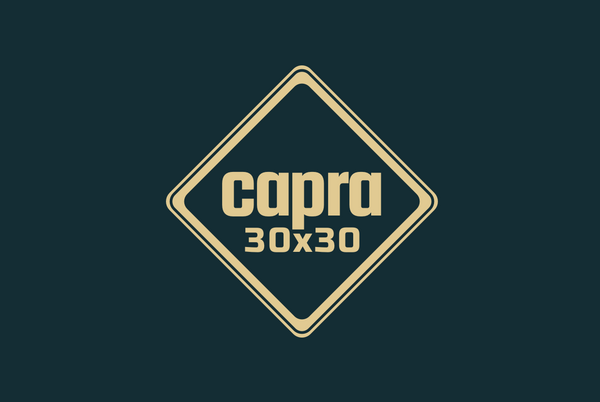 Capra November 30x30 (2023) Registration